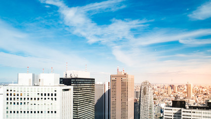 Fototapeta premium Tokyo cityscape as seen from the Tokyo Metropolitan Government Building in Shinjuku