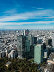 Tokyo cityscape as seen from the Tokyo Metropolitan Government Building in Shinjuku