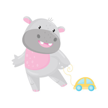 Cute adorable hippo playing with toy car, lovely behemoth animal cartoon character vector Illustration