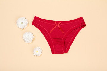 Beautiful women's cotton panties on beige background.