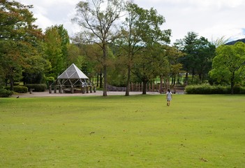 芝生の公園を走るキッズ