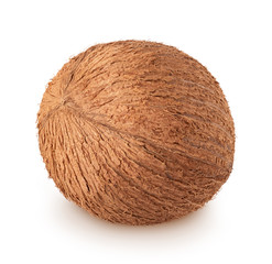 Studio shot of whole coconut isolated on a white background.