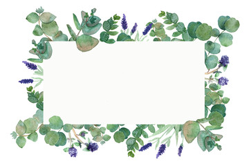 Watercolor hand painted lush pattern with silver leaves and branches of eucalyptus dollar, green...