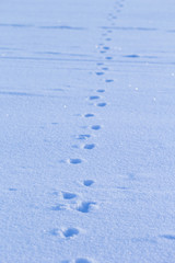 footprints in the snow concept of path and goal achievement