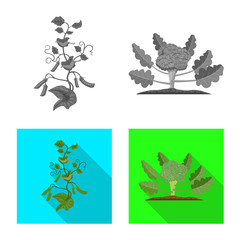 Vector illustration of greenhouse and plant icon. Collection of greenhouse and garden vector icon for stock.