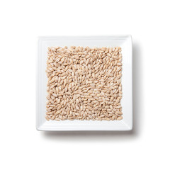 pearl barley on a plate on white background with shadow isolated