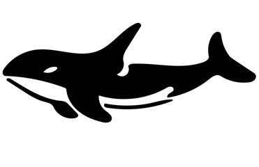 killer whale