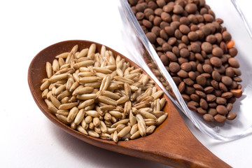 Oat and lentils in scoop on white background