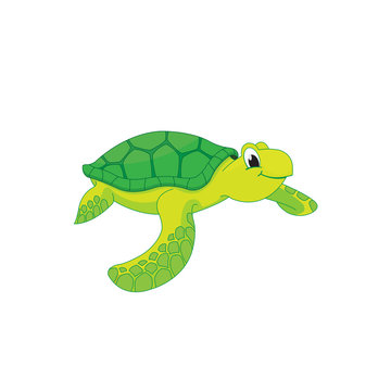 Cute vector sea turtle illustration.