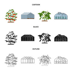 Vector design of greenhouse and plant sign. Set of greenhouse and garden stock vector illustration.