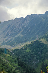 Fototapeta na wymiar The Transfagarasan road in Fagaras mountains, Carpathians with green grass and rocks, peaks in the clouds