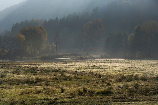 Bleist&auml;tter Moor