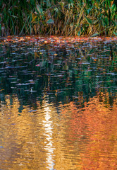 Autumn Colours Reflected in Water