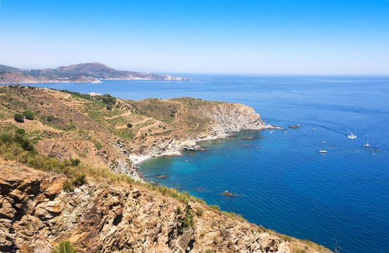 Rocky shore in marine reserve of Cerbere Banyuls, Mediterranean sea, Pyrenees Orientales, Cote Vermeille