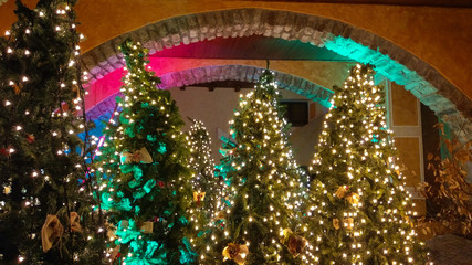 Fantastic illuminated christmas tree in the historic center of Viterbo