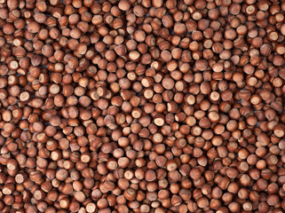 Image of hazelnuts. Hazelnut image for background