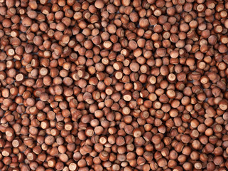 Raw hazelnuts as a background. High quality photo