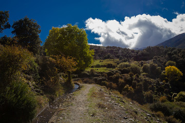 Granada, Spain; November 07, 2018: Forest of Granada called the Enchanted Forest or Route of the Dehesa del Camarate in autumn