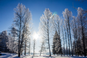 Winter landscape in clear weather. Morning bright sun. Snow plays shine. Frosty Snow Park