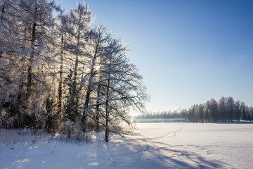 Winter landscape in clear weather. Morning bright sun. Snow plays shine. Frosty Snow Park