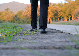 woman feet walking on wooden walkway in park