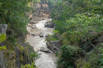 creek water stream flowing through mountain in forest