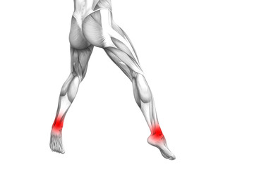 Conceptual ankle human anatomy with red hot spot inflammation or articular joint pain for leg health care therapy or sport muscle concepts. 3D illustration man arthritis or bone osteoporosis disease