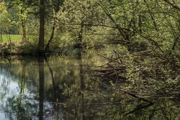 Frühling im Gailtal