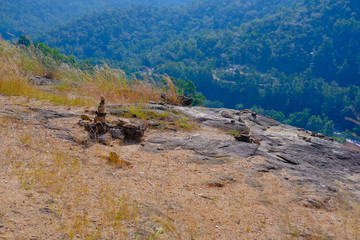 forest mountain nature summer scenery landscape