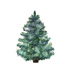 Watercolor green Christmas tree on white background. Isolated ha