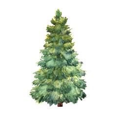 Watercolor green Christmas tree on white background. Isolated ha - 235866398