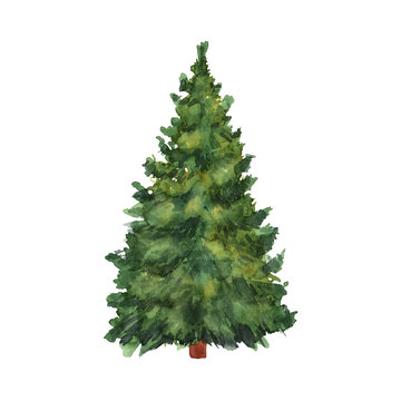 Watercolor green Christmas tree on white background. Isolated ha