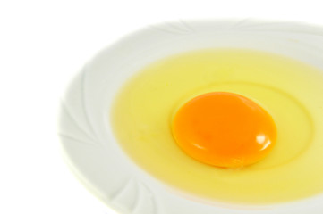 egg yolk isolated / fresh broken egg with yolk egg on white