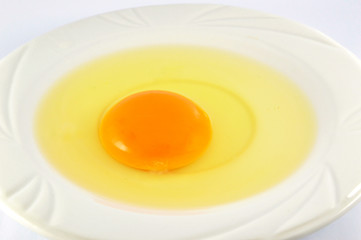egg yolk isolated / fresh broken egg with yolk egg on white