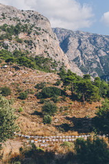Obraz premium Landscape with mountain and beehives, Fethiye, Antalya, Turkey