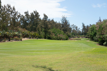 Fototapeta na wymiar Green of a golf field in beautiful view