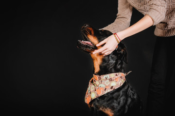 Rottweiler dog portrait on a black background