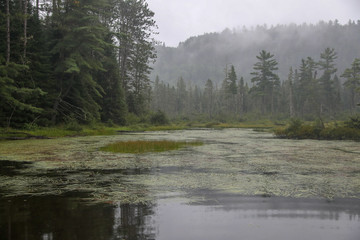Natural landscape of Canada