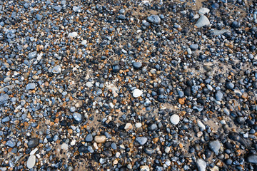 Colorful pebbles at a rock beach 
