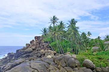 landscape the gulf of the coast in Sri Lanka
