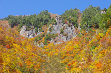 奥志賀高原の紅葉