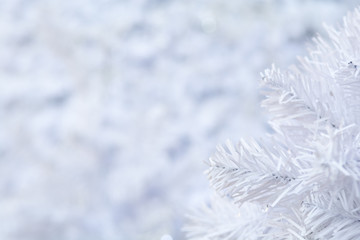Fototapeta na wymiar White Christmas tree background with blurred snow effect