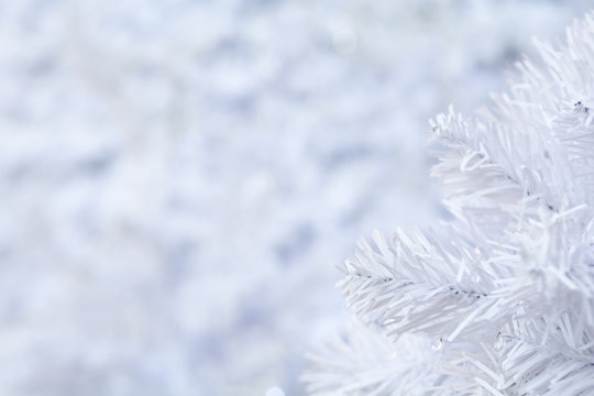 White Christmas Background