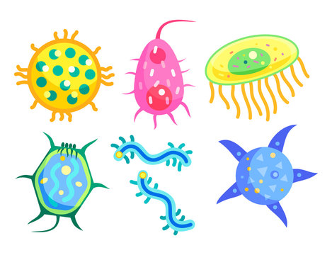 Microbiology Bacterium Cartoon Informative Poster