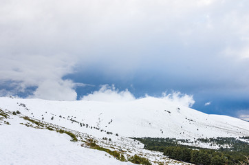 Snowy mountains and pine forest with cloudy sky at sunset
