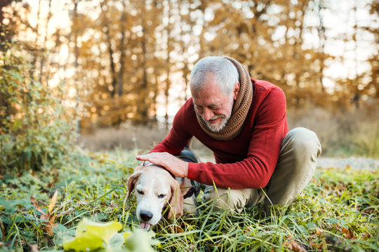 A senior man with a dog in an autumn nature at sunset.