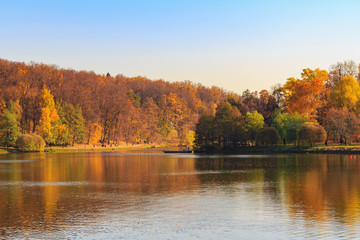 Pond and trees with golden leaves on shore at sunny autumn day