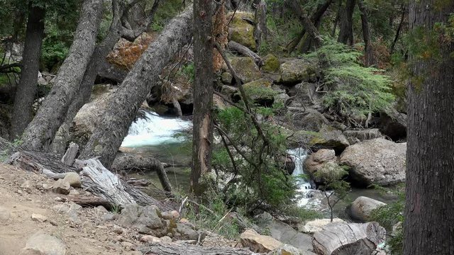 Arroyo Grande waterfall near Quila Quina village at Lacar lake.  San Martin de los Andes, Patagonia, Neuquen, Argentina