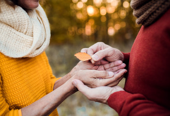 A midsection of senior couple standing in an autumn nature at sunset, holding leaf.