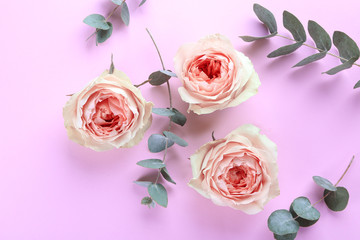 Beautiful roses with eucalyptus branches on color background